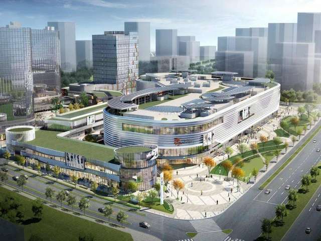 佛山石金钱龟养殖厂家推荐